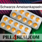 Black Ant Capsules levitra2
